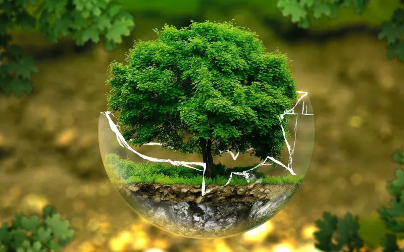 Docker Web App Development Docker Web App Development