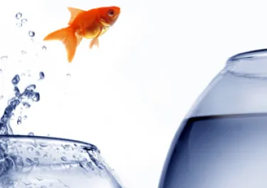 Achieve Go-to-market Success