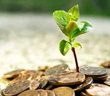 Custom Quote and ROI Apps: ROI Calculator Developers for Apps and Web Apps Custom Quote and ROI Apps: ROI Calculator Developers for Apps and Web Apps